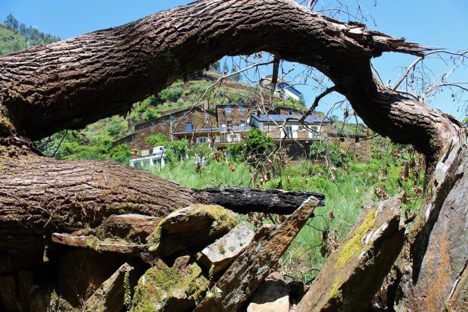 Appartamento O Refugio Do Mineiro Arouca Esterno foto