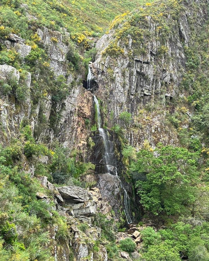 Appartamento O Refugio Do Mineiro Arouca Esterno foto