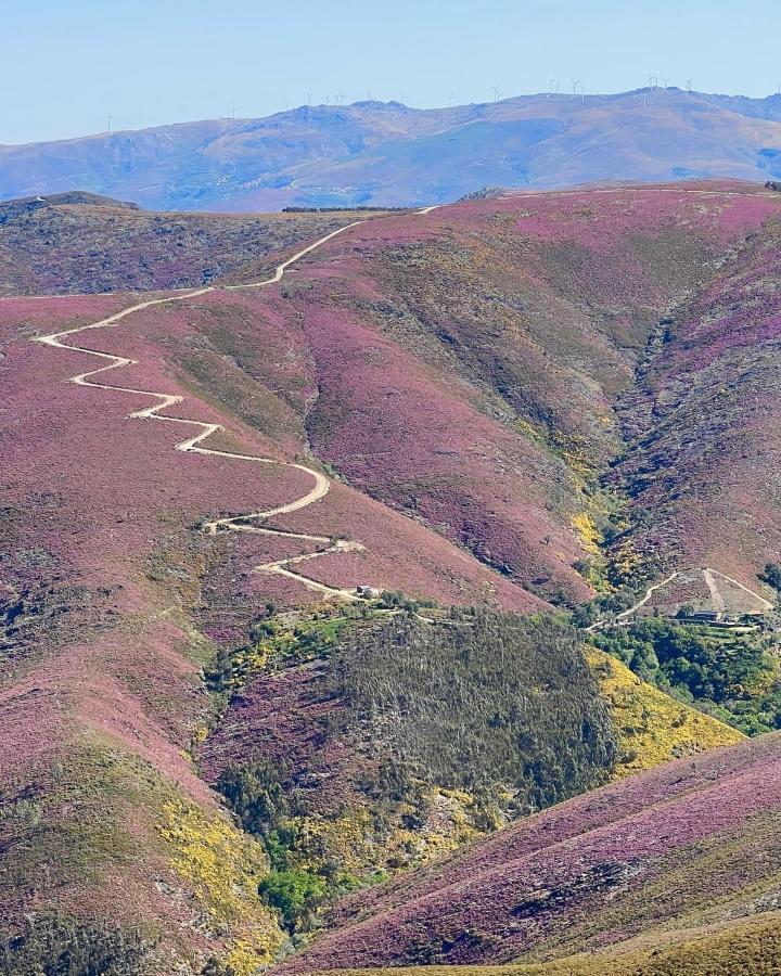 Appartamento O Refugio Do Mineiro Arouca Esterno foto