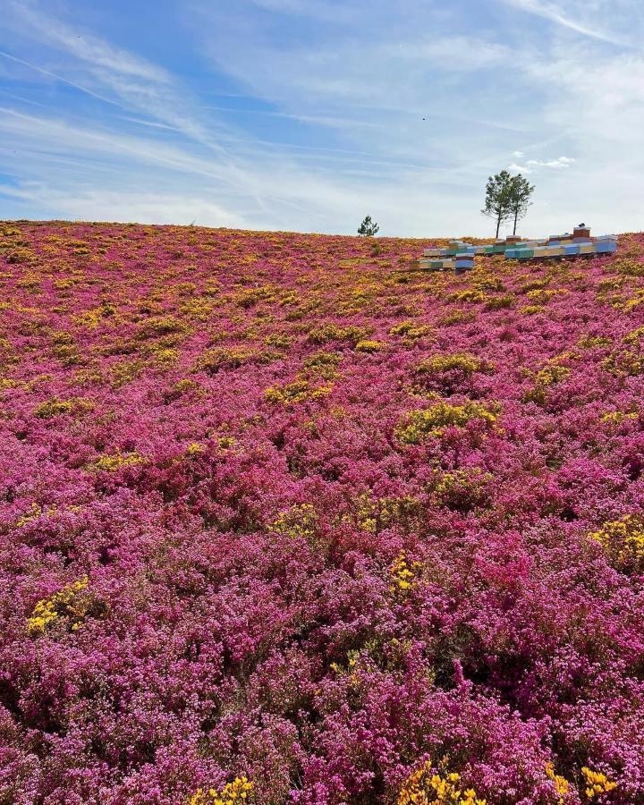 Appartamento O Refugio Do Mineiro Arouca Esterno foto