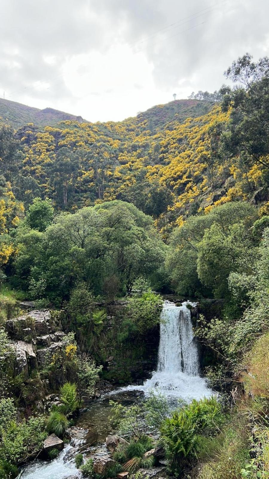 Appartamento O Refugio Do Mineiro Arouca Esterno foto